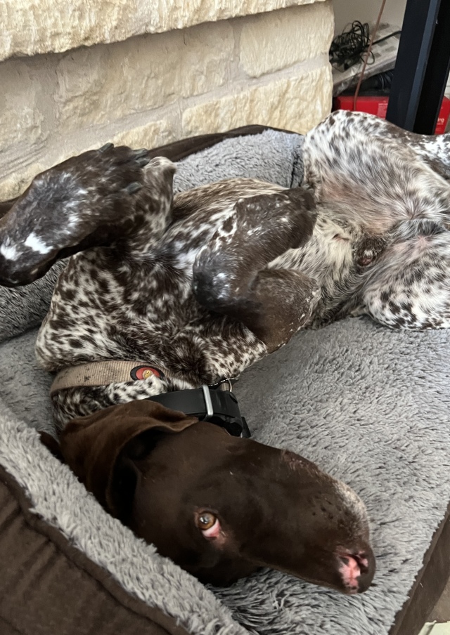 2022/01(January)/Blaze/640x480_2022-09-26-Blaze-1.JPG