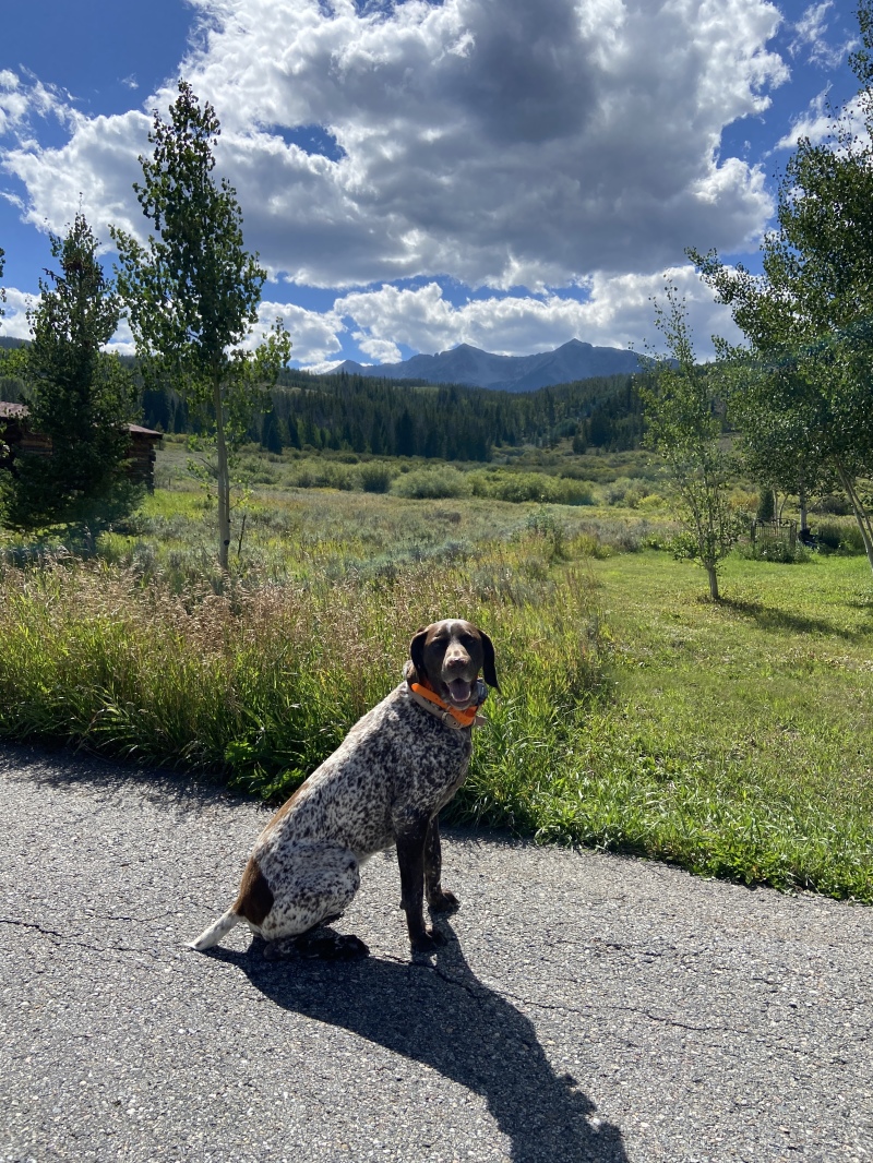 2022/01(January)/Blaze/800x600_2022-08-29-Blaze-3.JPG