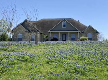 2022-04-06-Blaze-11-Bluebonnets.JPG