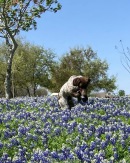 Bluebonnets-Blaze-16.JPG