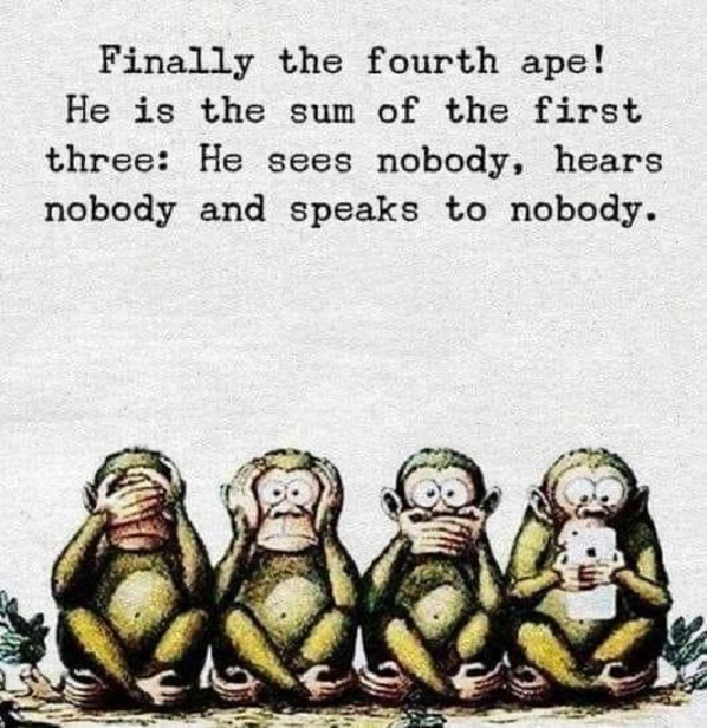 2022/01(January)/Memes/640x480_4-monkeys.JPG