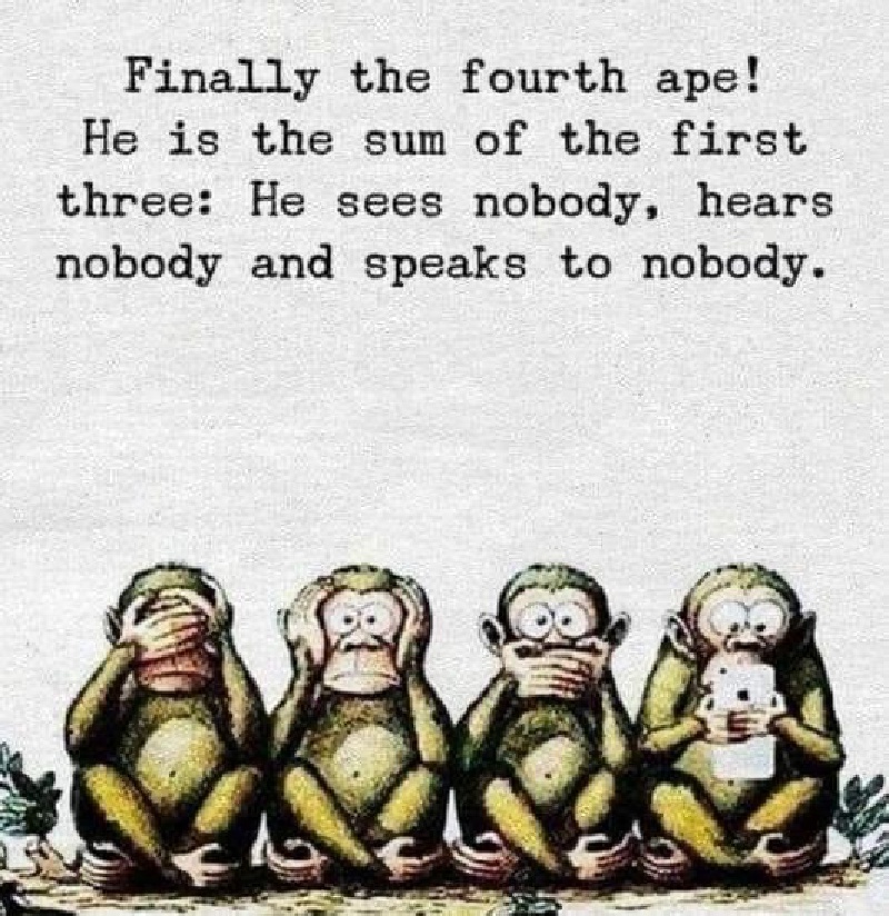 2022/01(January)/Memes/800x600_4-monkeys.JPG