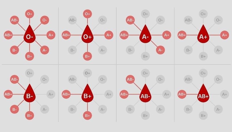 2022/01(January)/Memes/800x600_Blood-Chart.JPG