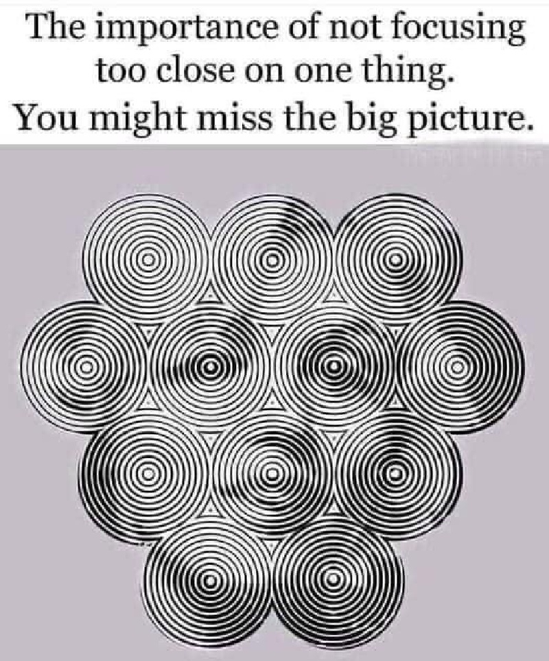 2022/01(January)/Memes/800x600_Focusing-too-Close.JPG