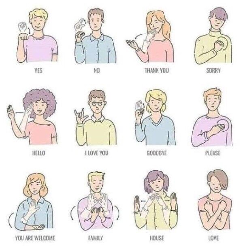 2022/01(January)/Memes/800x600_sign-language-basics.JPG