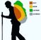 Backpack-packing-chart.JPG