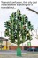 Roundabout-signals.JPG
