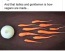 Vegans-are-Made.JPG
