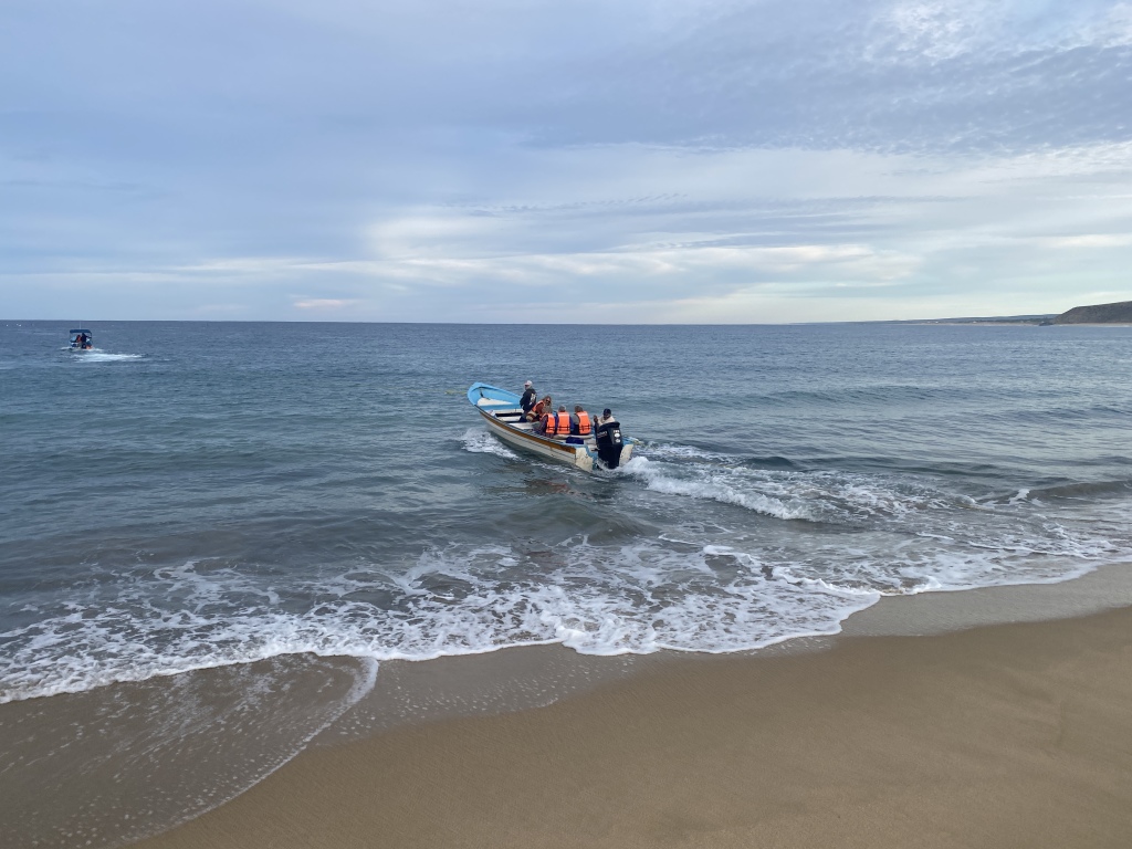 2022/01(January)/Mexico-LosCubos/1024x768_2022-01-23-Mexico-Los-Cubos-044-Justin-Jan-Angie-boat-dragged-into-ocean.JPG