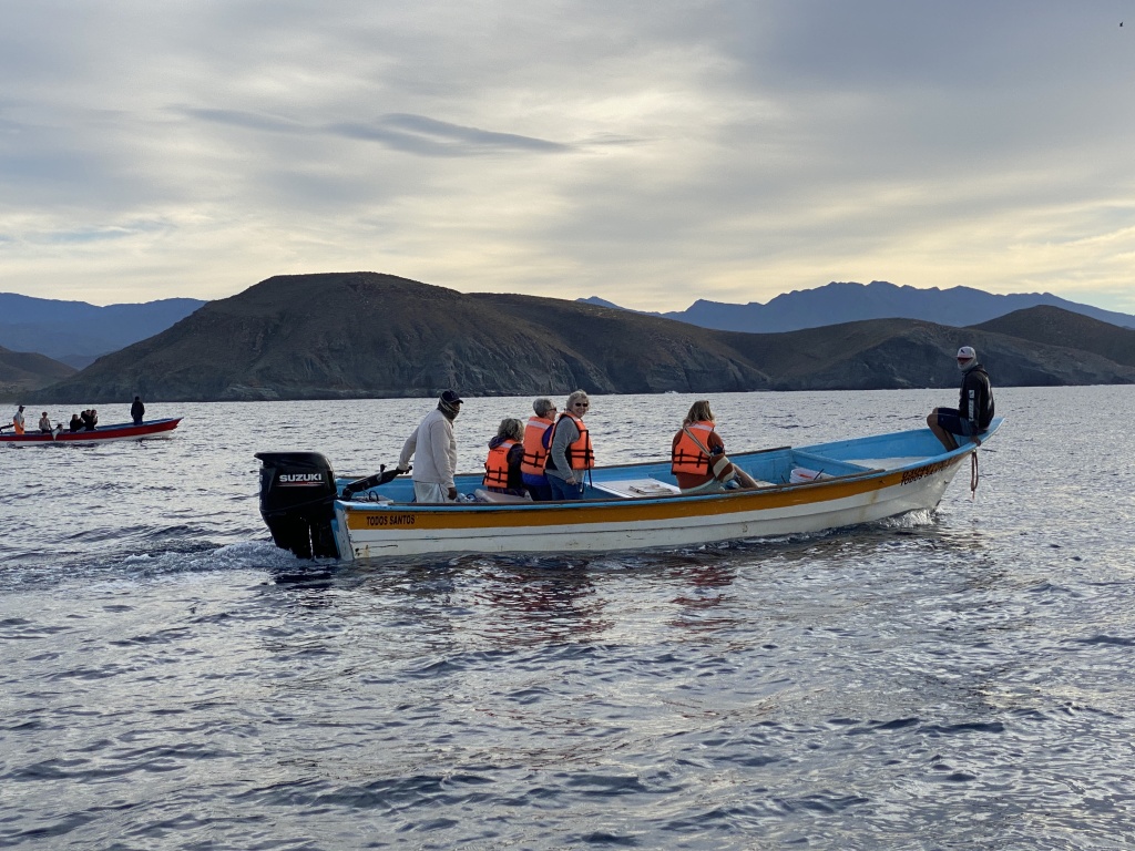 2022-01-23-Mexico-Los-Cubos-068-Whales-Janeen-Jan-Angie-Justin.JPG