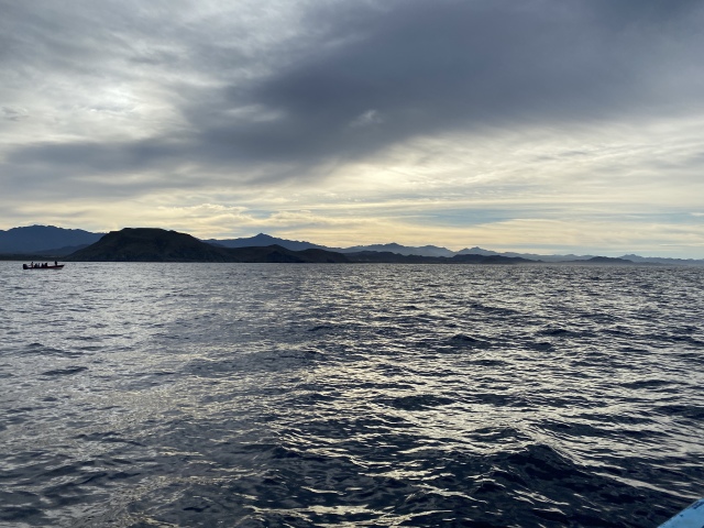 2022-01-23-Mexico-Los-Cubos-062-Whales.JPG
