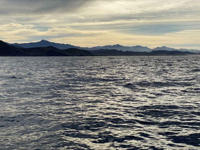 2022-01-23-Mexico-Los-Cubos-063-Whales.JPG