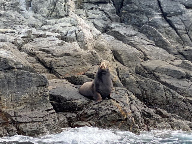 2022-01-23-Mexico-Los-Cubos-136-seal.JPG