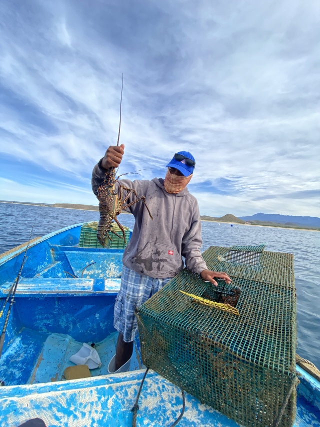 2022-01-23-Mexico-Los-Cubos-145-lobster.JPG