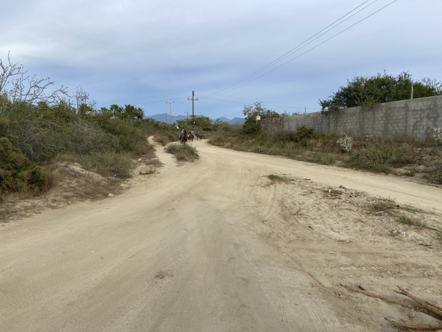 2022-01-23-Mexico-Los-Cubos-167-horses.JPG