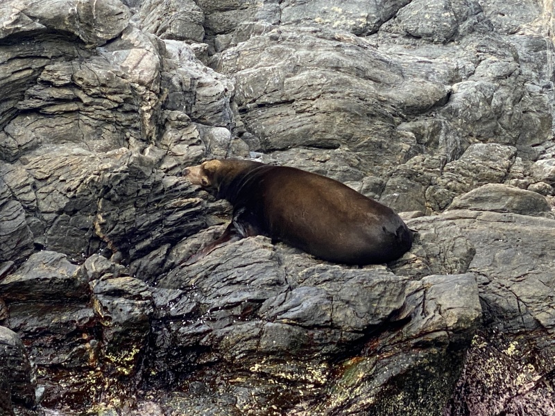 2022-01-23-Mexico-Los-Cubos-133-Seal.JPG