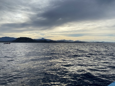 2022-01-23-Mexico-Los-Cubos-062-Whales.JPG