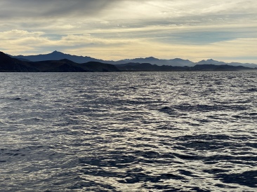 2022-01-23-Mexico-Los-Cubos-063-Whales.JPG