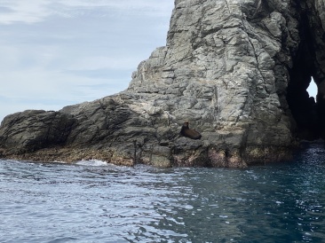2022-01-23-Mexico-Los-Cubos-129-seal.JPG