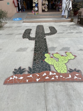2022-01-23-Mexico-Los-Cubos-154-Cactus-art.JPG