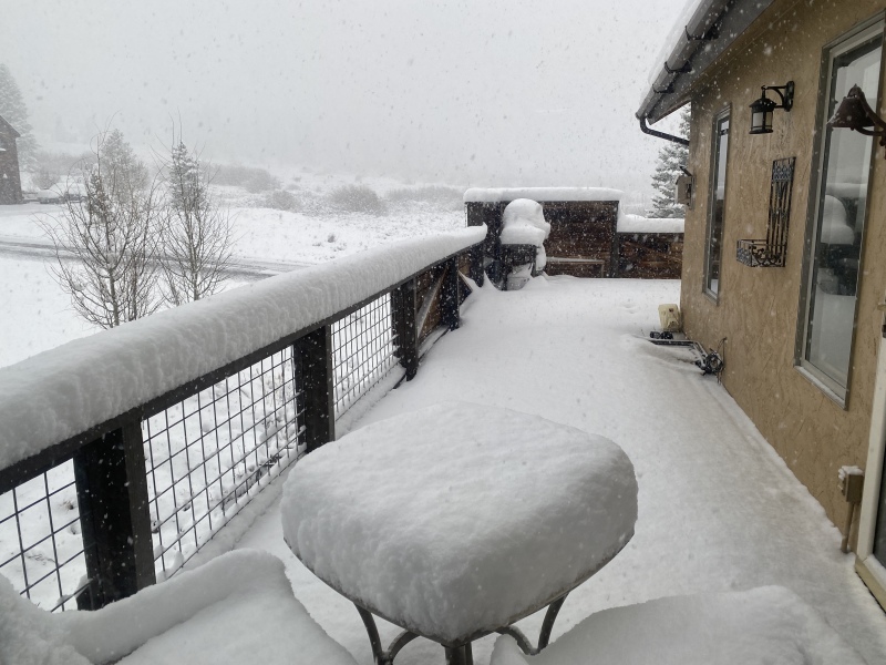 2022/01(January)/SecurityCam/800x600_2022-05-20-SecurityCam-7-Snow.JPG