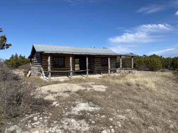 2022-02-12-Bluestem-4.JPG
