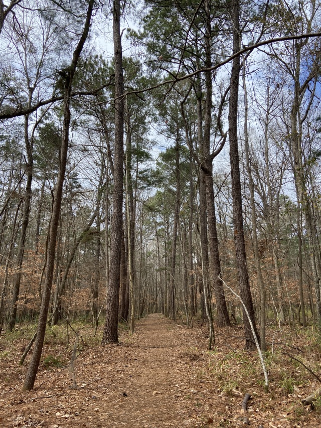 2022-02-04-Hiking-02.JPG