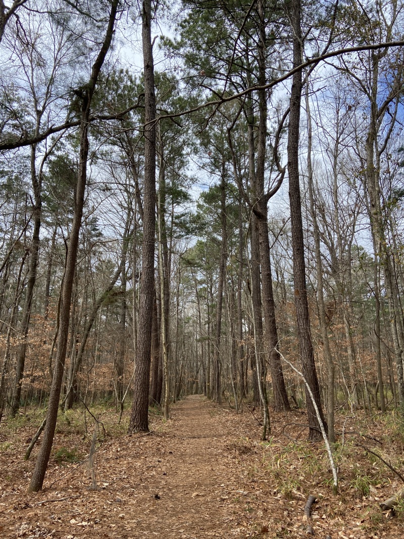2022/02(February)/Chance-Navy-Graduation-House-Hunting/800x600_2022-02-04-Hiking-02.JPG