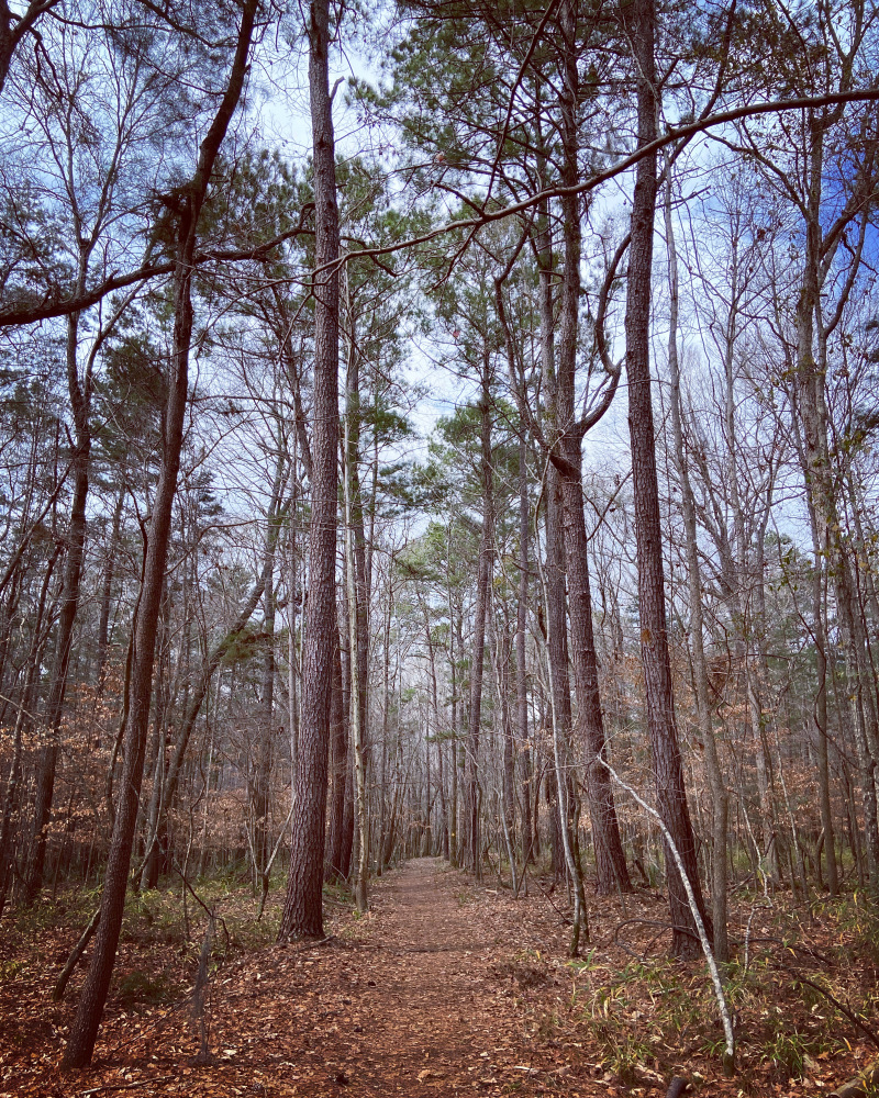 2022/02(February)/Chance-Navy-Graduation-House-Hunting/800x600_2022-02-04-Hiking-03.JPG