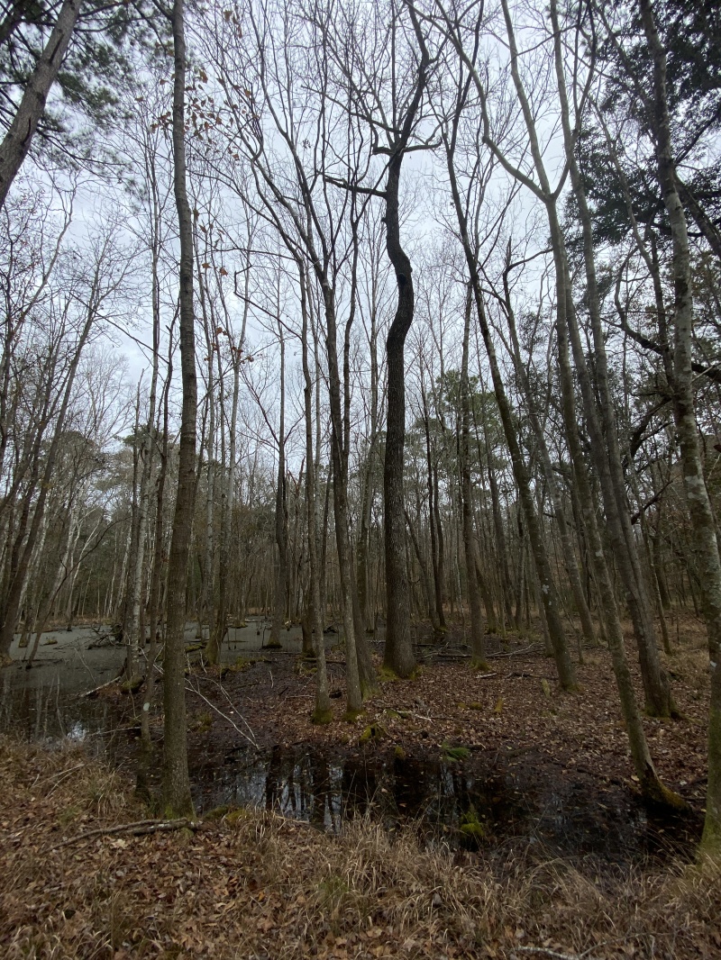 2022/02(February)/Chance-Navy-Graduation-House-Hunting/800x600_2022-02-04-Hiking-04.JPG