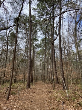 2022-02-04-Hiking-02.JPG