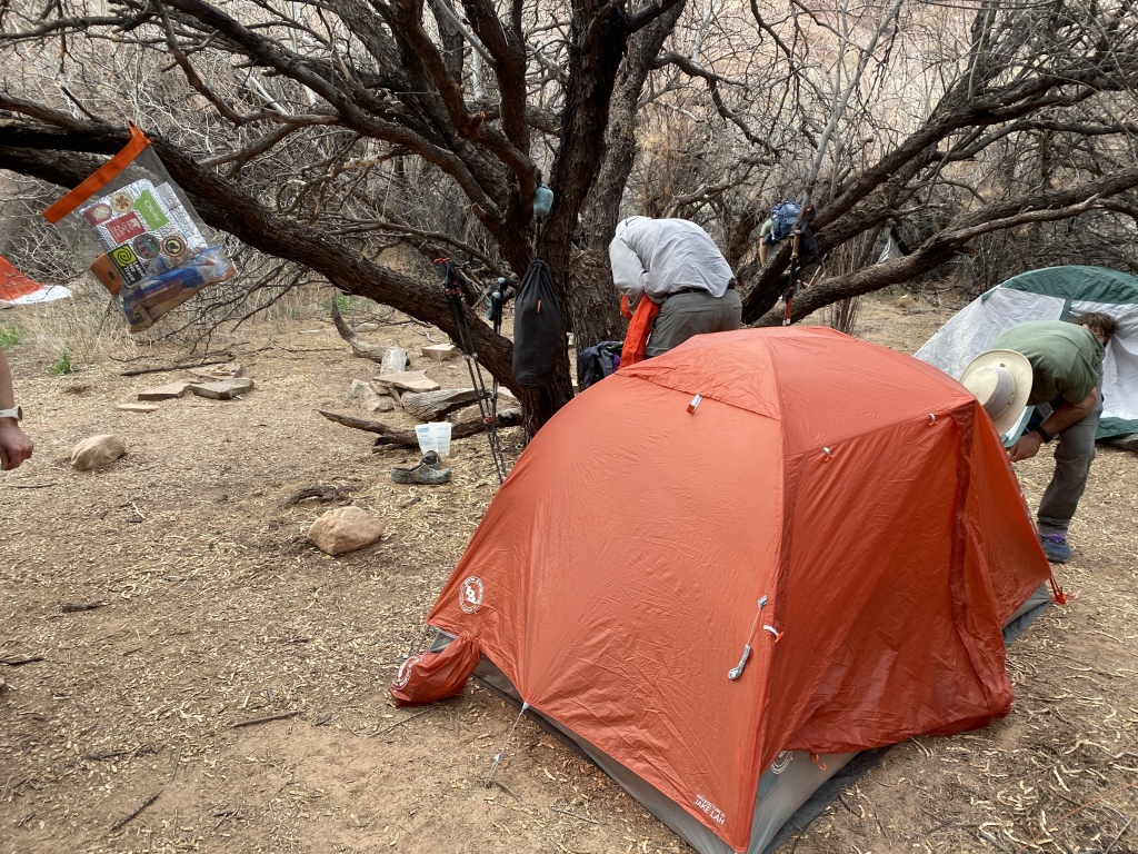 2022-03-16-Grand-Canyon-181-Carl-Guy.JPG