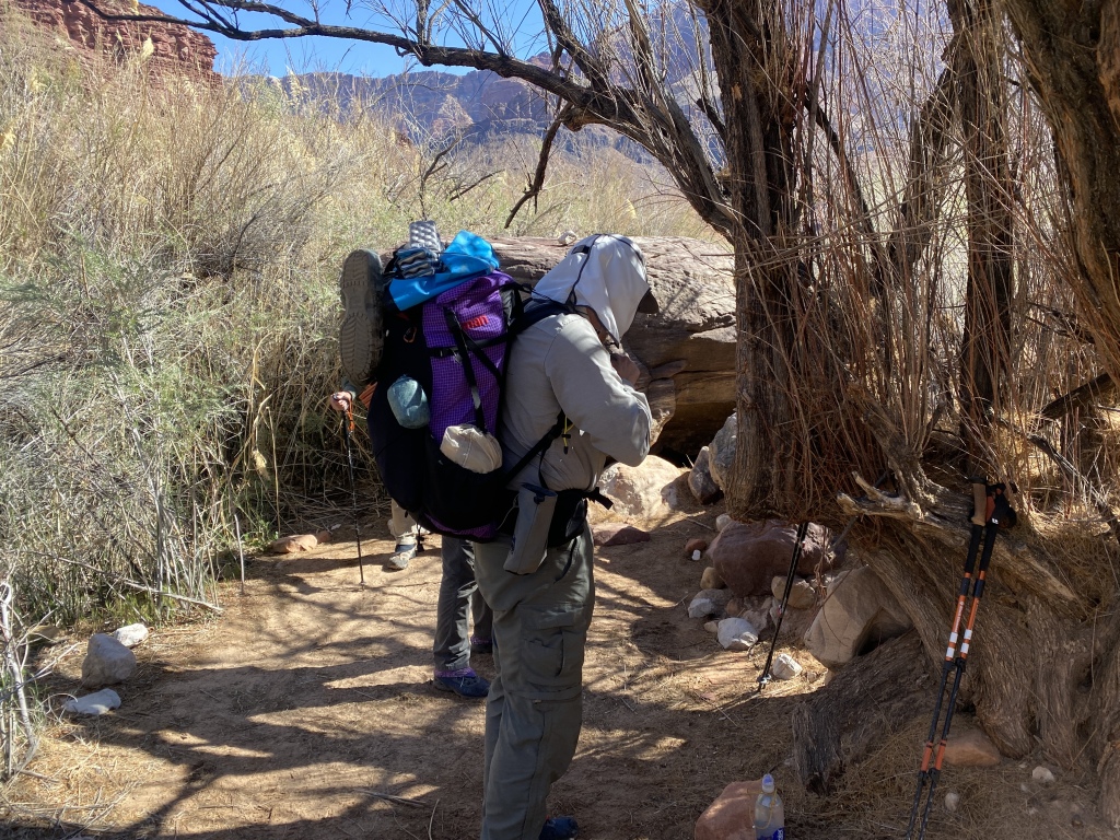 2022-03-17-Grand-Canyon-195-Carl.JPG