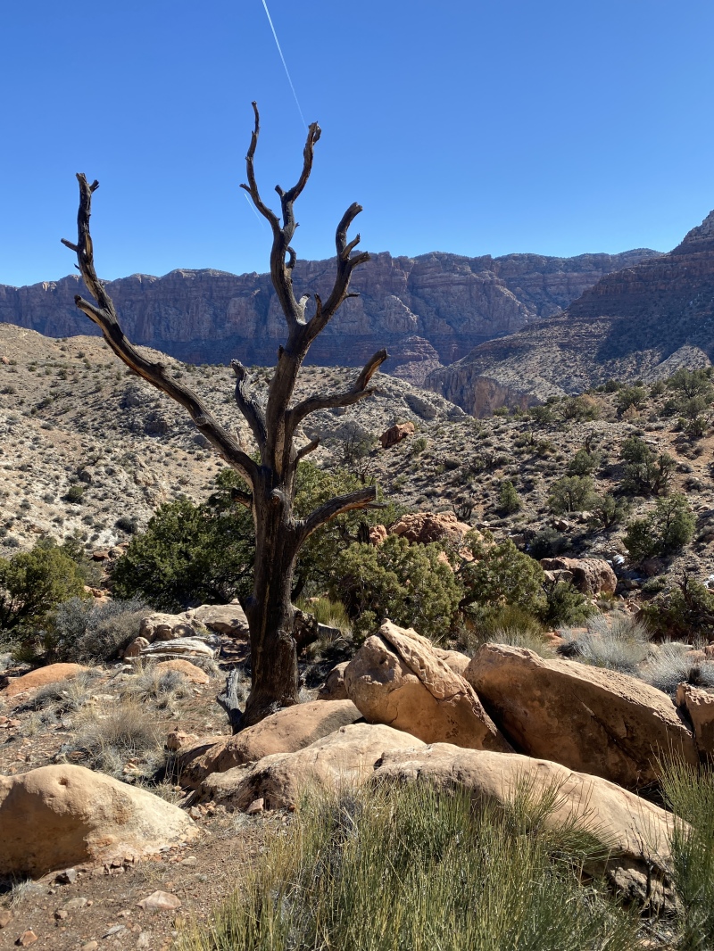 2022-03-14-Grand-Canyon-061.JPG