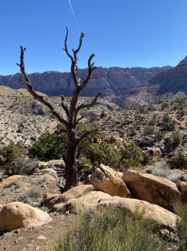 2022-03-14-Grand-Canyon-061.JPG