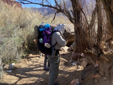 2022-03-17-Grand-Canyon-195-Carl.JPG