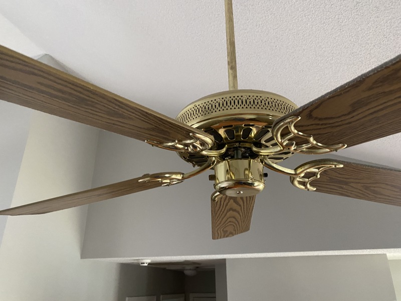 2022/04(April)/Chance-1st-House/800x600_2022-04-14-Chance-1st-House-30-Fan-needs-light.JPG