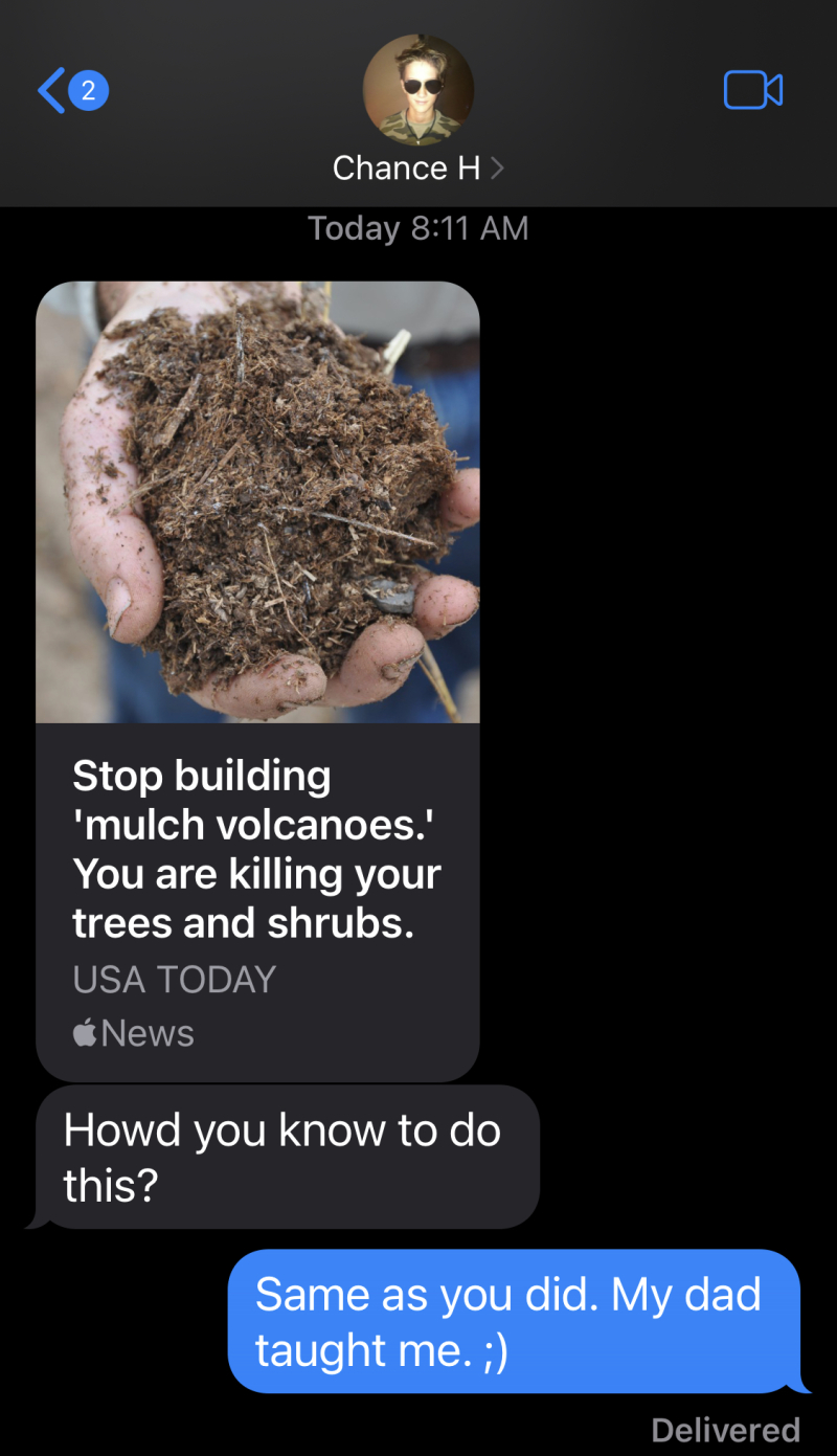 2022/04(April)/Chance-1st-House/800x600_2022-07-16-Chance-1st-House-83-Text-about-mulch-volcanoes.JPG