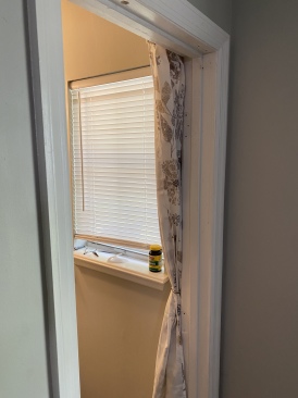 2022-04-16-Chance-1st-House-52-bathroom-curtain-installed.JPG