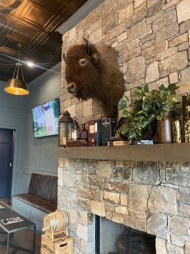 2022-04-18-VA-SAVD-Tulsa-04-bison.JPG