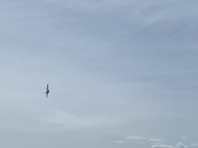 2022/05(May)/BlueAngels-Ellis-AFB/640x480_2022-05-14-Blue-Angels-Ellis-AFB-089.JPG