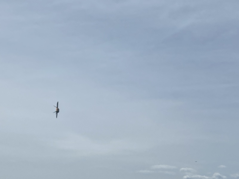 2022/05(May)/BlueAngels-Ellis-AFB/800x600_2022-05-14-Blue-Angels-Ellis-AFB-089.JPG