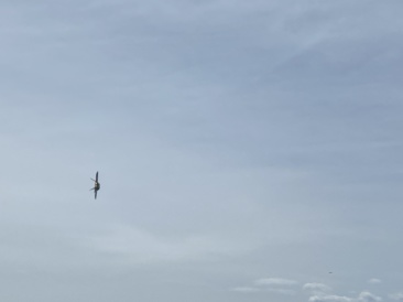 2022-05-14-Blue-Angels-Ellis-AFB-089.JPG