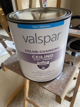 2022-07-01-House-20-Ceiling-Paint.JPG