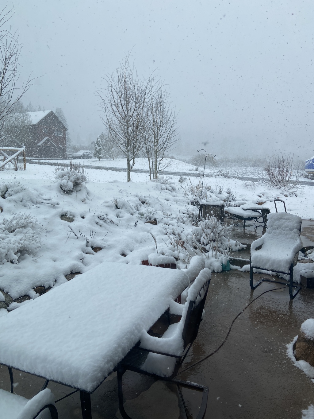 2022/05(May)/Colorado-Moose-Snow/1024x768_2022-05-20-Snow-03.JPG