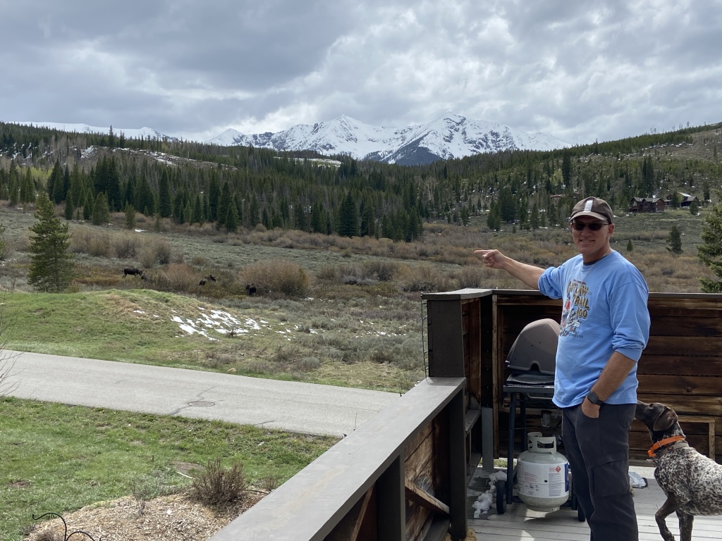 2022/05(May)/Colorado-Moose-Snow/1024x768_2022-05-23-Moose-07-Travis-Blaze.JPG