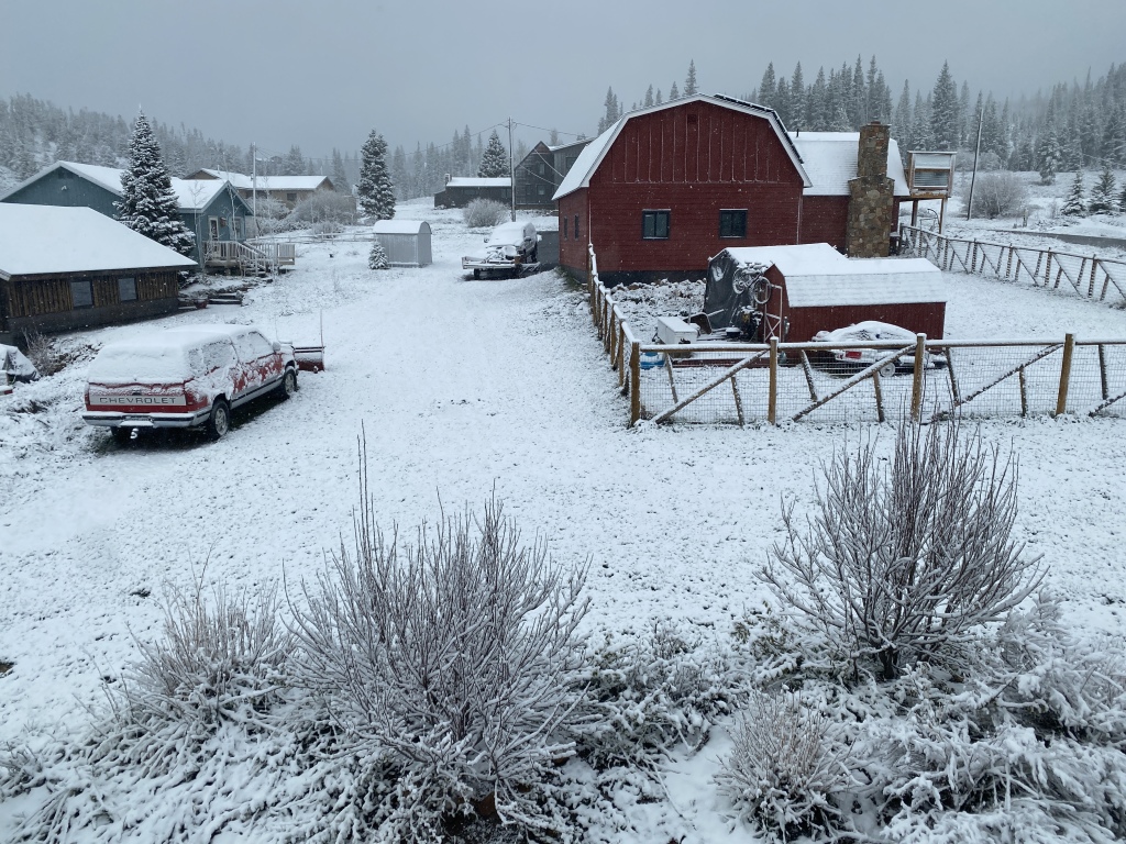 2022/05(May)/Colorado-Moose-Snow/1024x768_2022-05-30-Snow-10.JPG