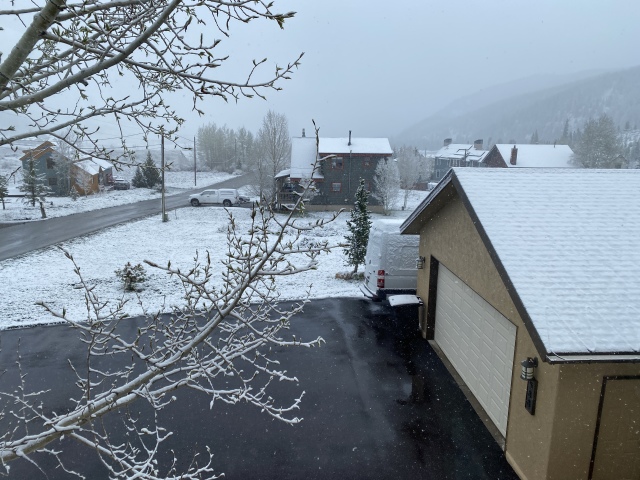 2022/05(May)/Colorado-Moose-Snow/640x480_2022-05-30-Snow-09.JPG