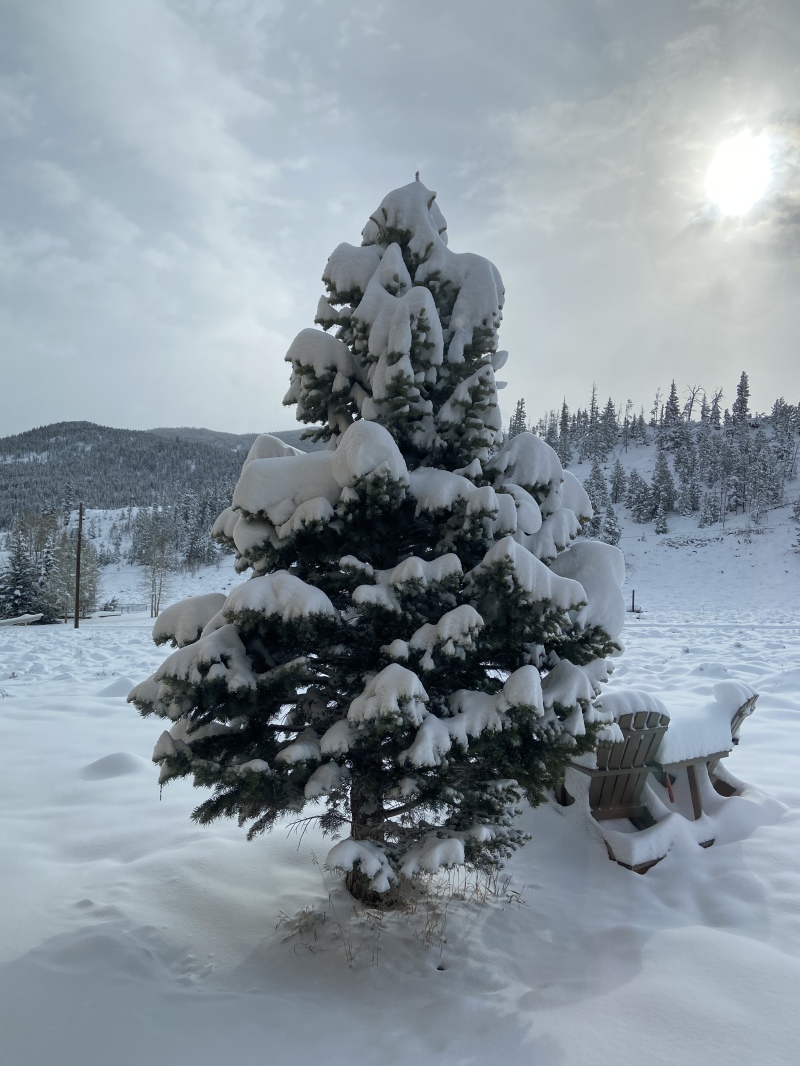 2022/05(May)/Colorado-Moose-Snow/800x600_2022-05-21-Snow-07.JPG