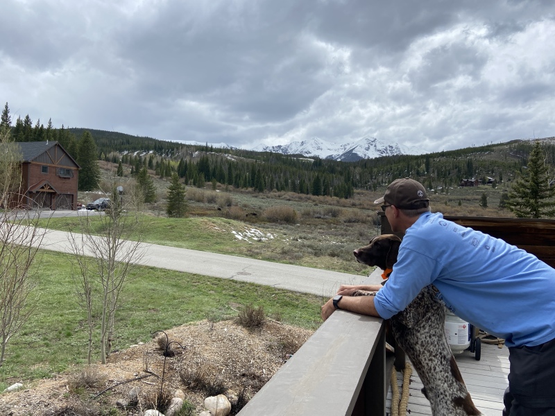 2022/05(May)/Colorado-Moose-Snow/800x600_2022-05-23-Moose-09-Travis-Blaze.JPG